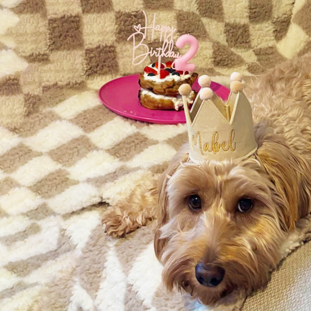 Personalized Embroidered Pet Felt Birthday Crown | BKPet443
