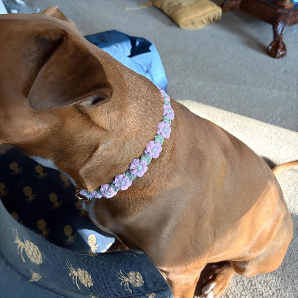 Personalized Handmade Macrame Flowers Pet Collar | BKPet457