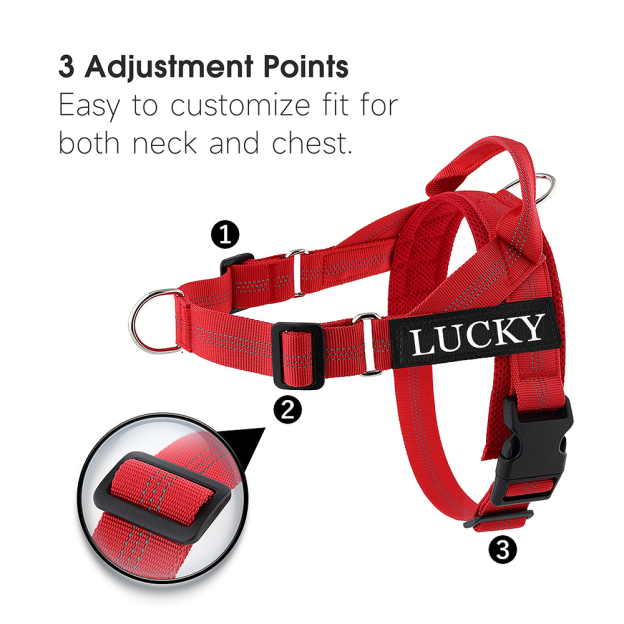 Personalized Embroidered Dog Harness & Leash Set | BKPet462