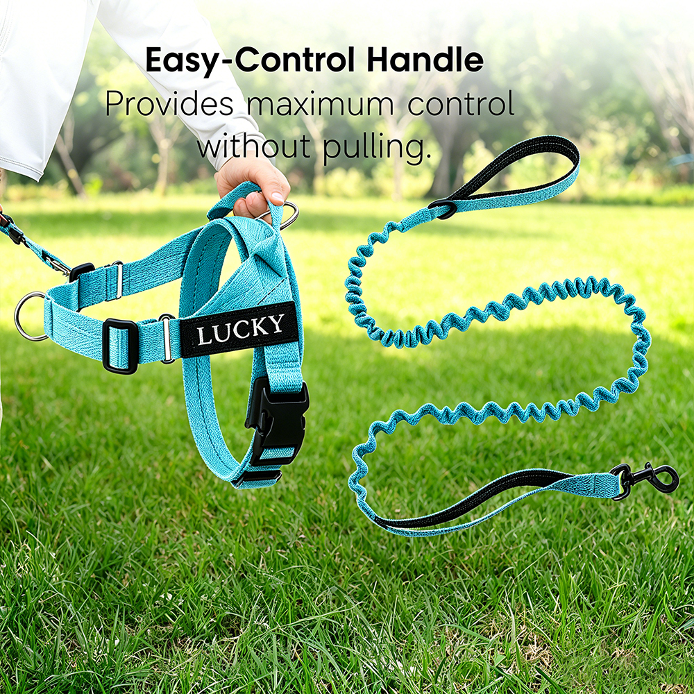 Personalized Easy-on Dog Harness & Leash Set | BKPet462