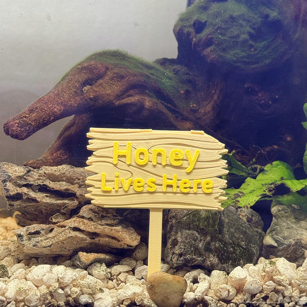 Personalized 3D Printed Forest Sign for Fishtanks | CWGift92