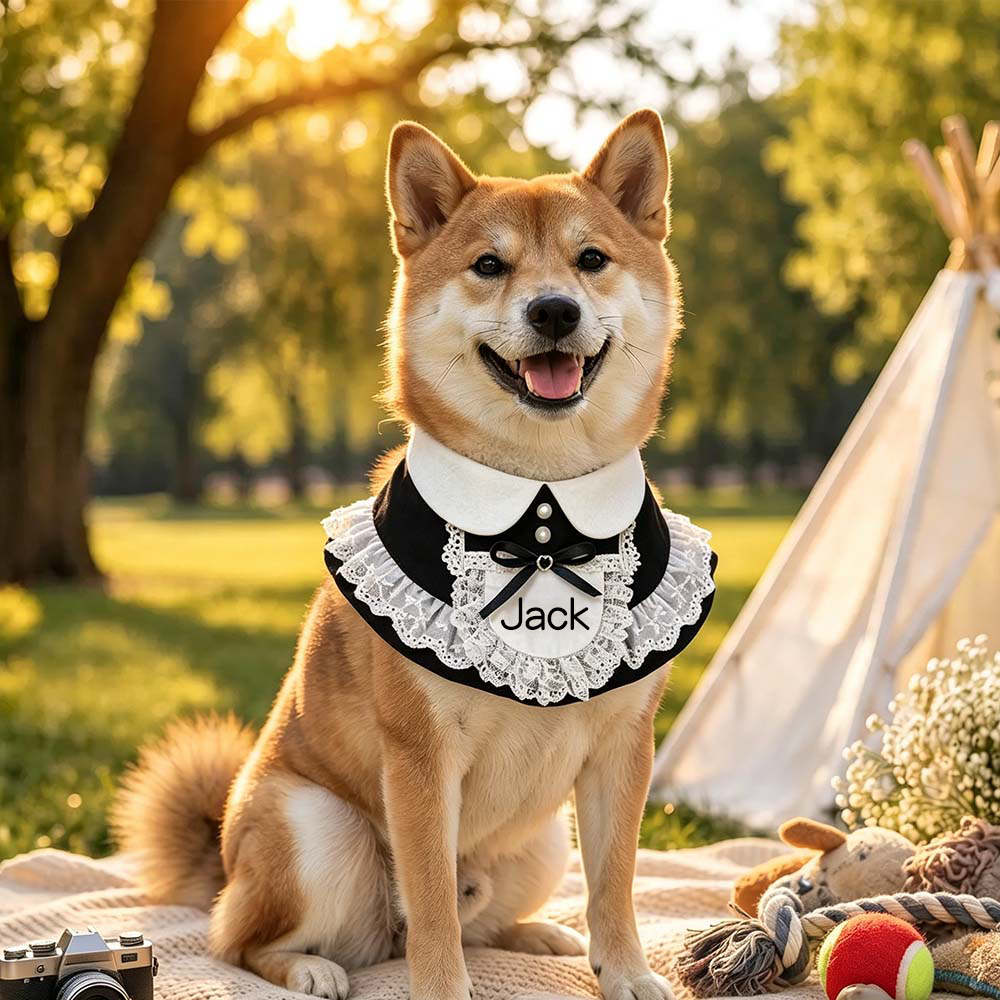Personalized Wedding Pet Cute Little Maid Bow Bib | BKPet566