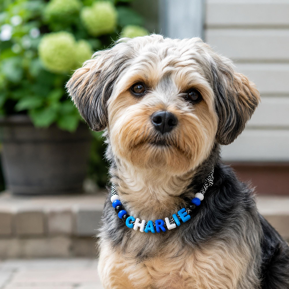 Personalized Handmade Beaded Adjustable Buckle Dog Collar | BKPet573