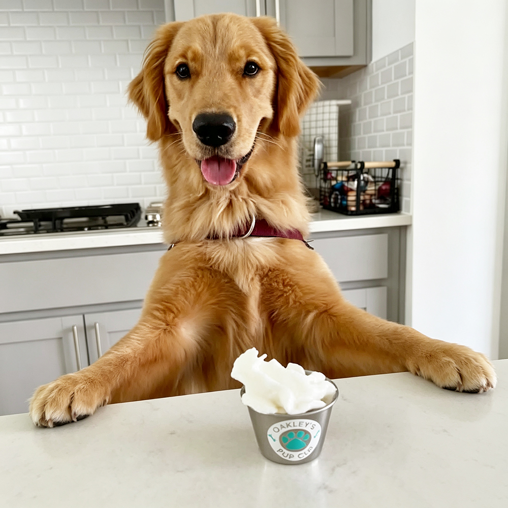 Personalized Pet Stainless Steel Reusable Mini Pup Cup Mug | BKPet273