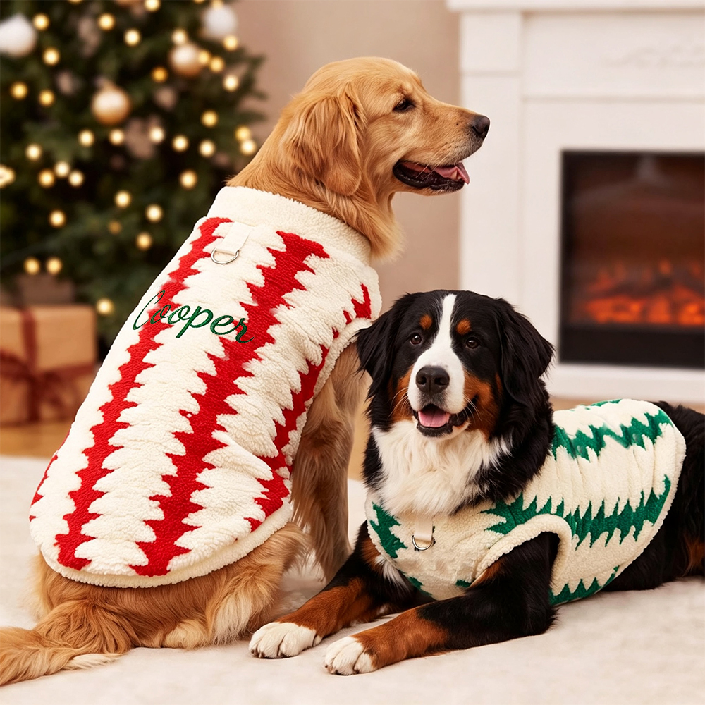 Personalized Embroidered Christmas Dog Sweater | BKPet603