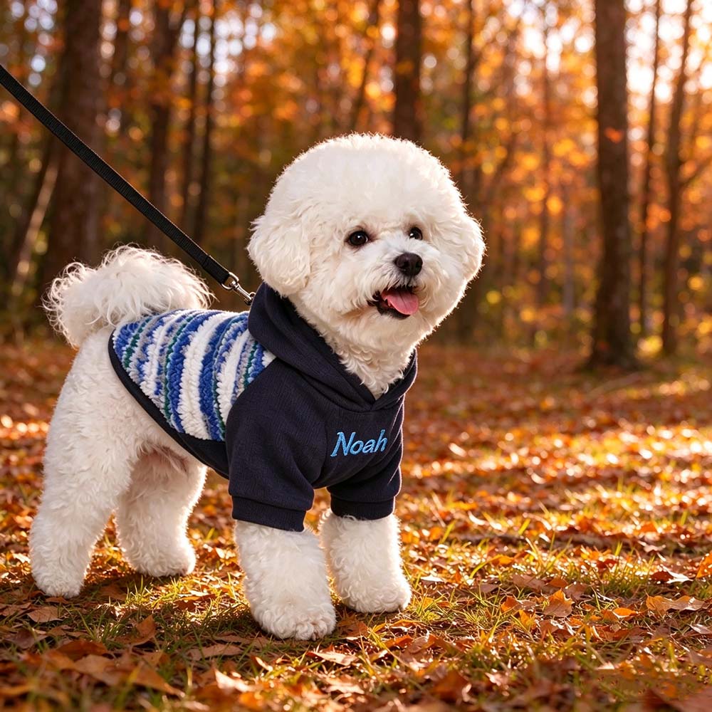 Personalized Pet Winter Warm Patchwork Hooded Sweatshirt | BKPet606