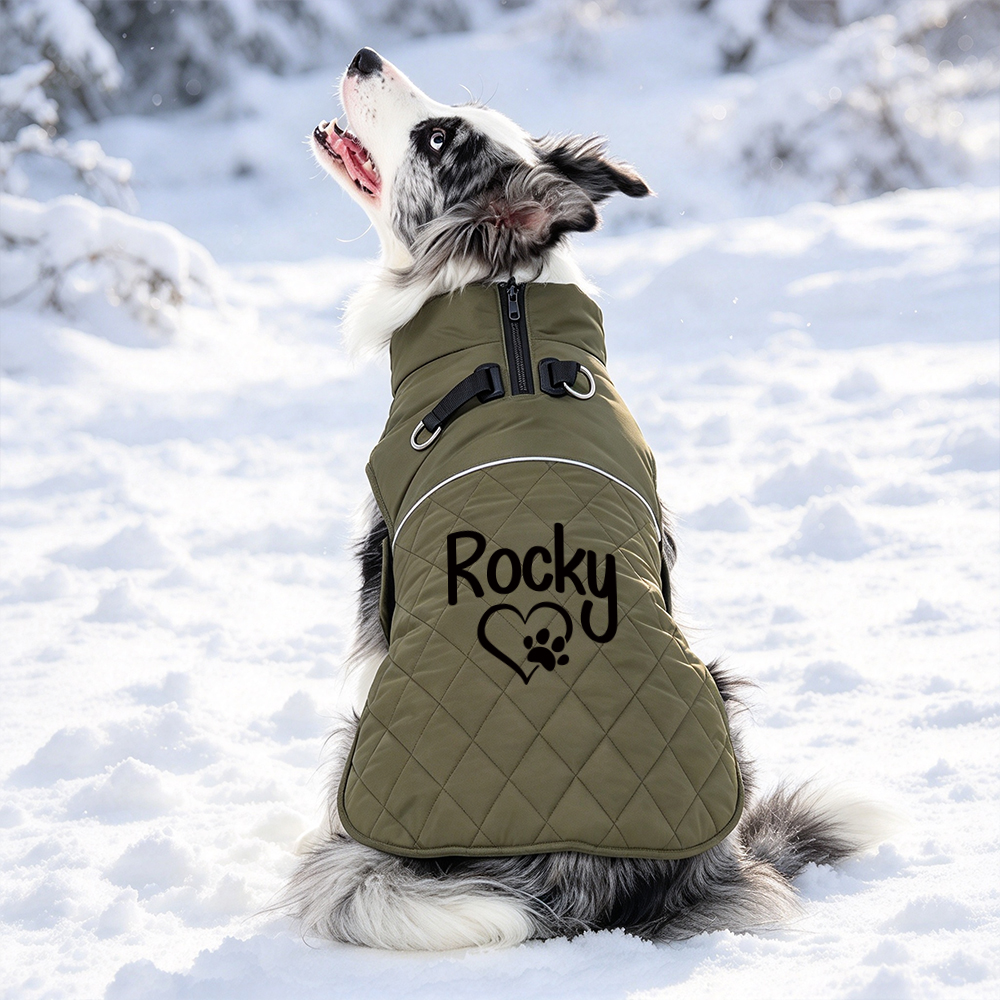 Personalized Winter Warm Windproof Puffer Jacket for Pets | BKPet615