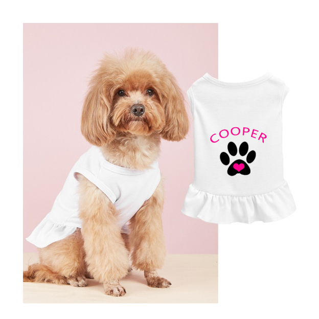 Personalized Soft Puppy Dress with Ruffle | CWPet26