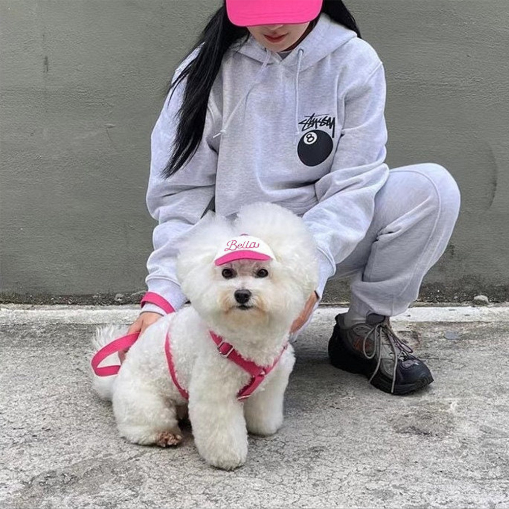 Personalized Embroidery Pet Baseball Cap with Ear Holes | CWPet27