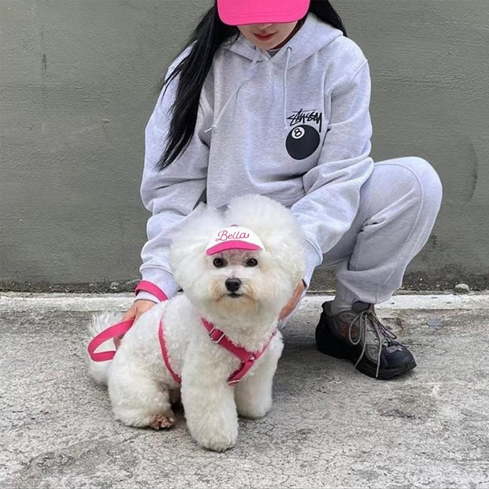 Personalized Embroidery Pet Baseball Cap with Ear Holes | CWPet27