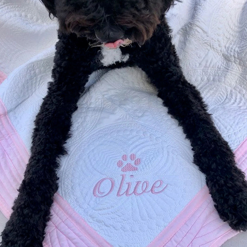 Personalized Embroidered Pet Blanket for Comfort & Unique | BKPet72