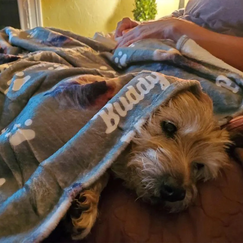 Personalized Lovely Pet Blanket for Comfort & Unique | BKPet112