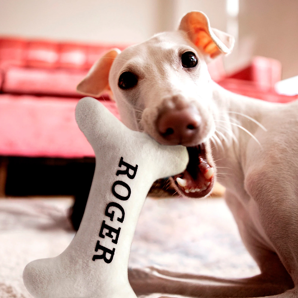 Personalized Puppy Gift Soft Bone Pillow Toy | BKPet129