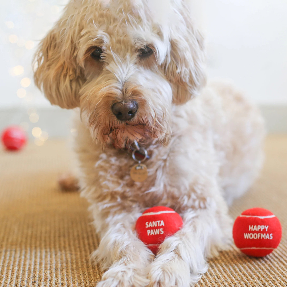 Personalized Pet Tennis Ball Toy | BKPet137