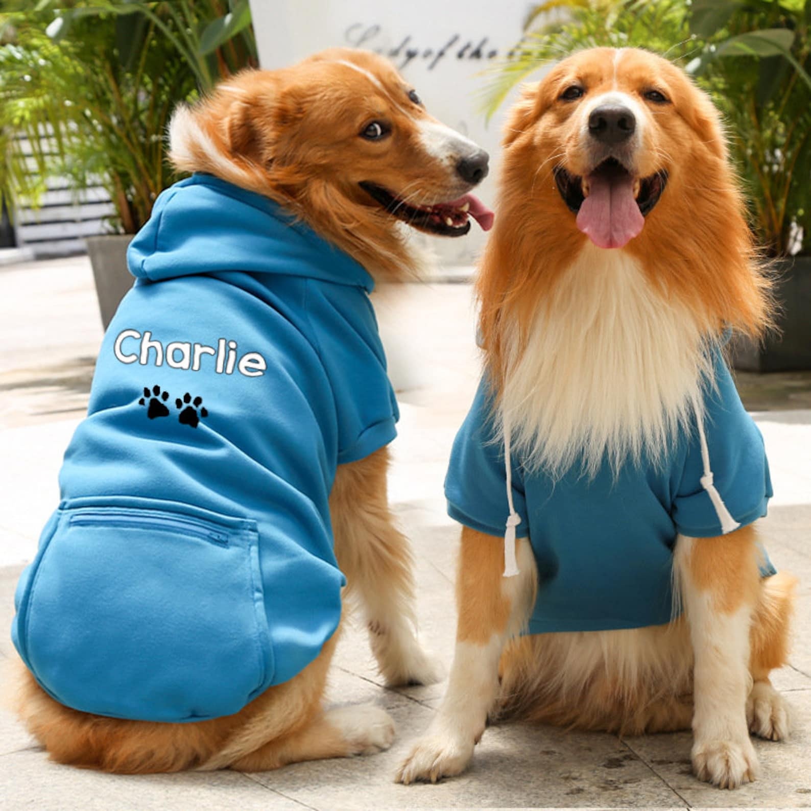 Personalized Warm Puppy Hoodie for Comfort & Unique | BKPet100