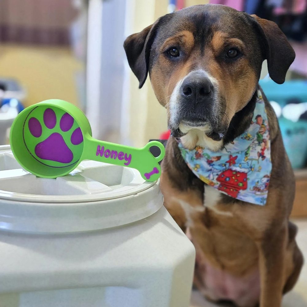Personalized 3D Printed Pet Measuring Food Scoop Cup | BKPet154