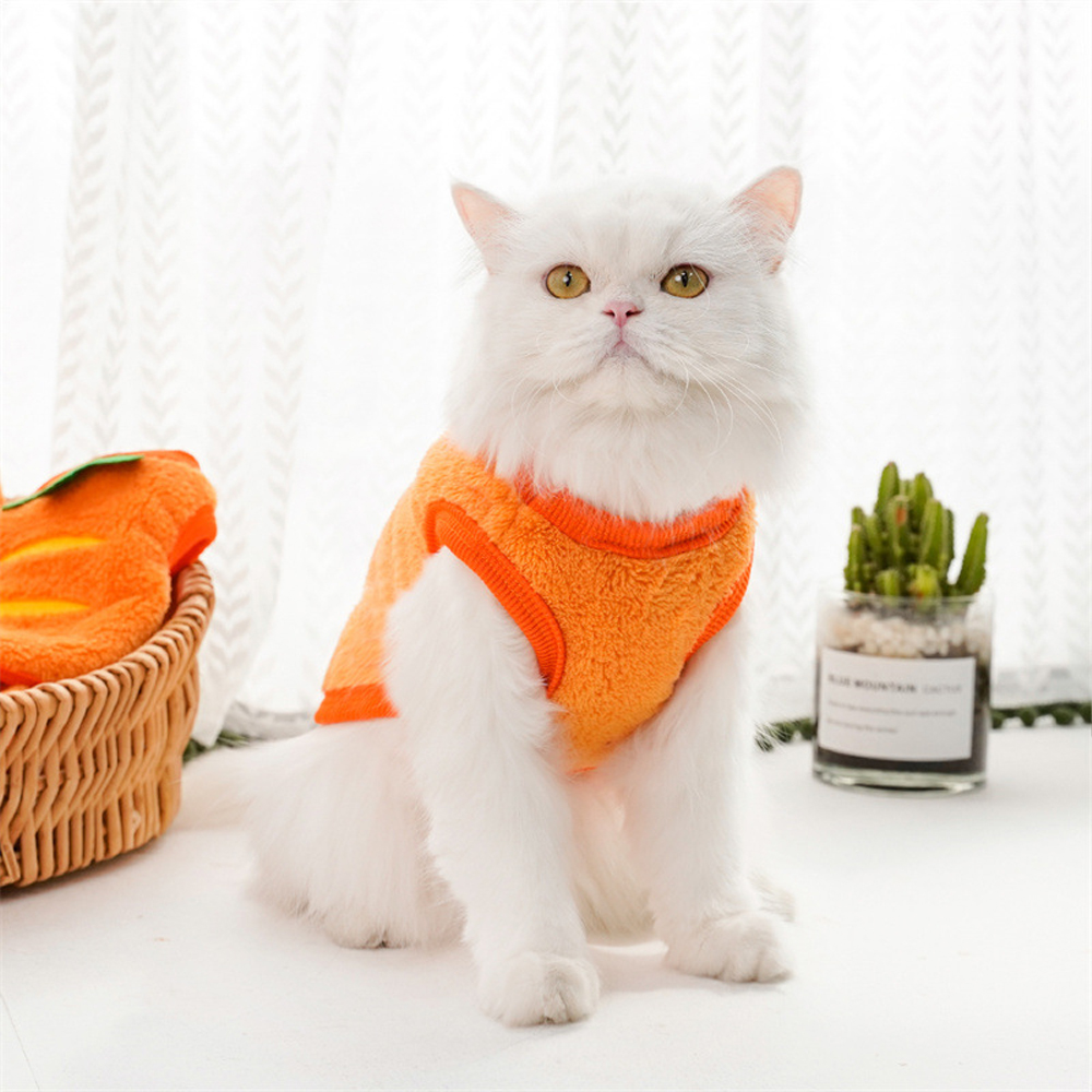 Personalized Cute Pet Soft Plush Fleece Vest | BKPet194