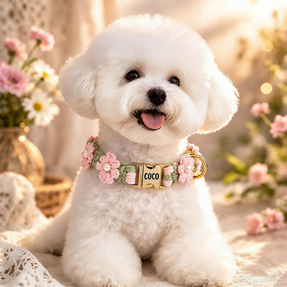 Personalized Handmade Macrame Flowers Pet Collar | BKPet457