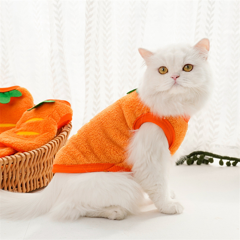 Personalized Cute Pet Soft Plush Fleece Vest | BKPet194