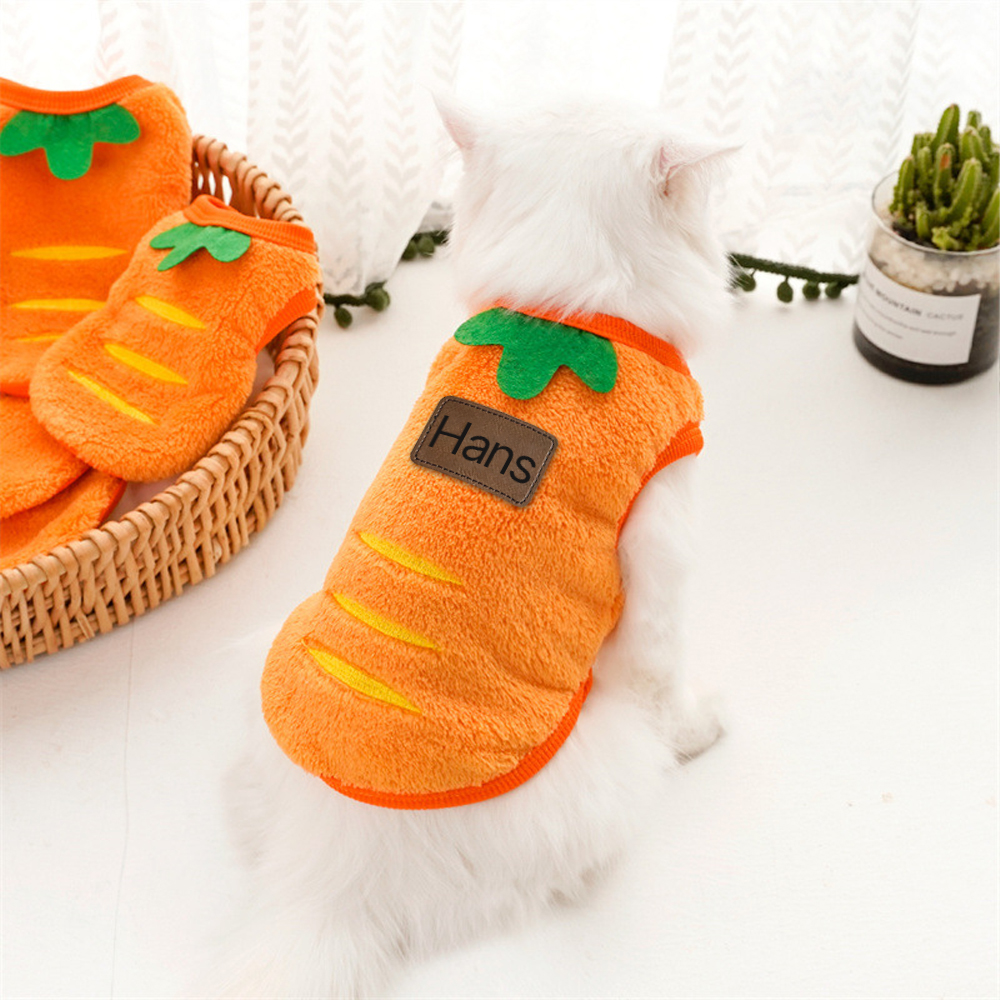 Personalized Cute Pet Soft Plush Fleece Vest | BKPet194