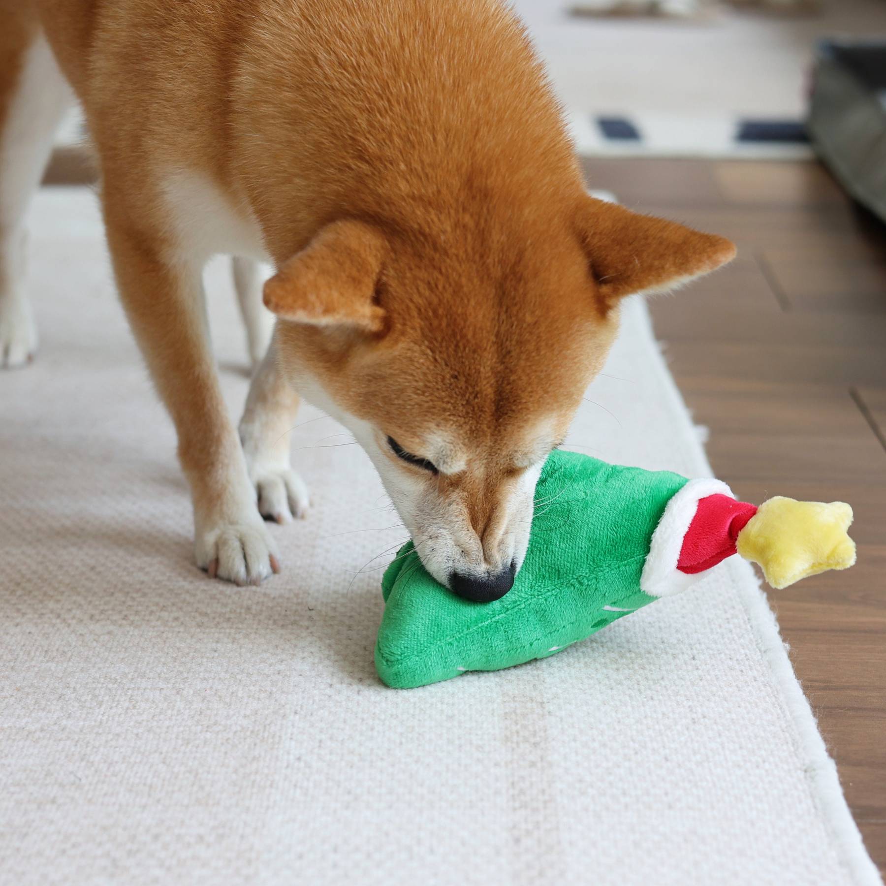 Christmas Tree Dog Plush Squeaky Toys | BKPet133