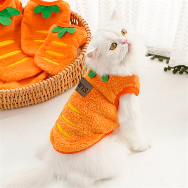 Personalized Cute Pet Soft Plush Fleece Vest | BKPet194