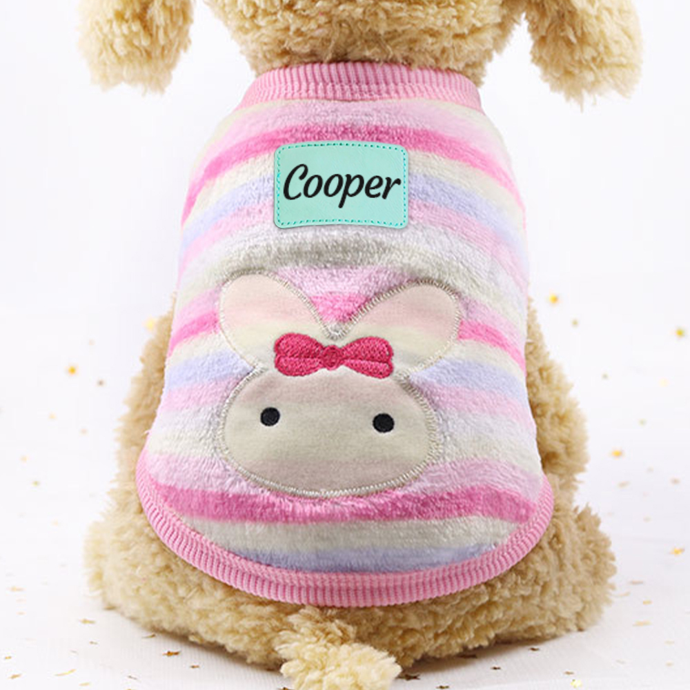 Personalized Cute Pet Soft Plush Fleece Vest | BKPet194
