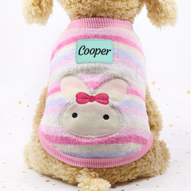 Personalized Cute Pet Soft Plush Fleece Vest | BKPet194