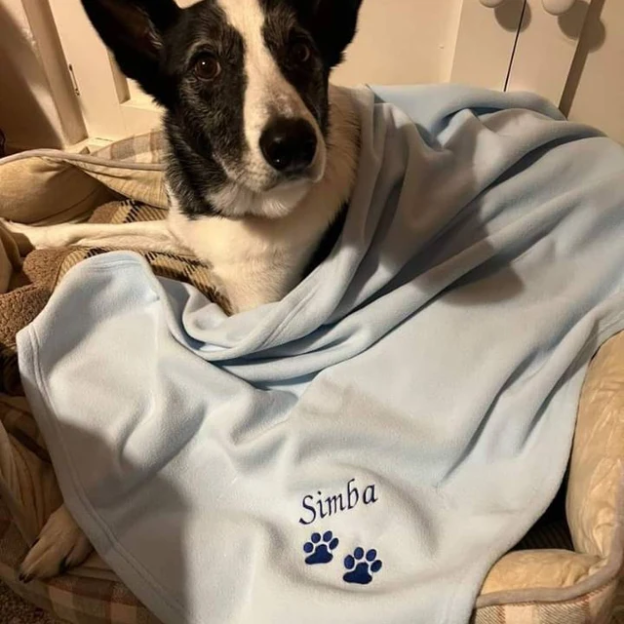 Personalized Warm Pet Blanket for Comfort & Unique | BKPet18