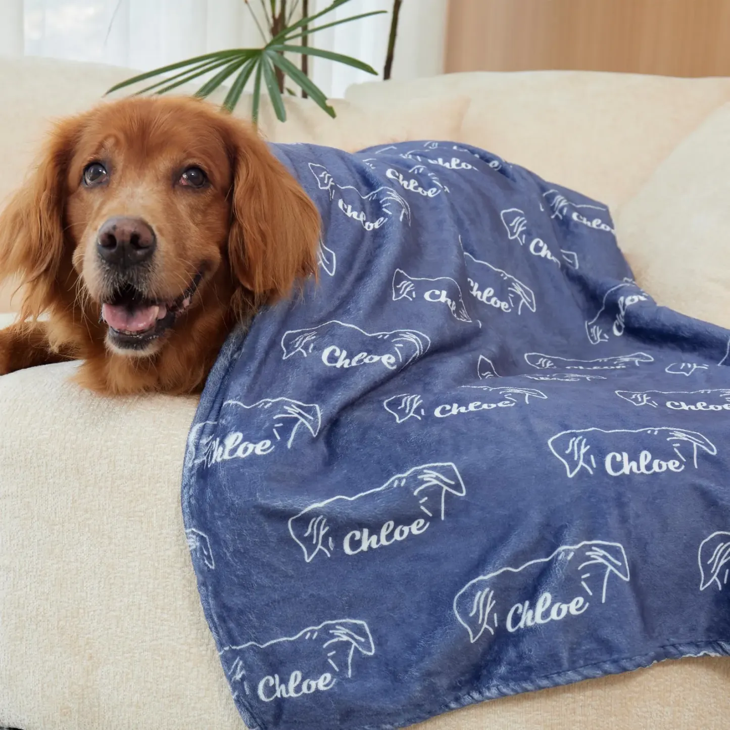 Personalized Lovely Pet Blanket for Comfort & Unique | BKPet102