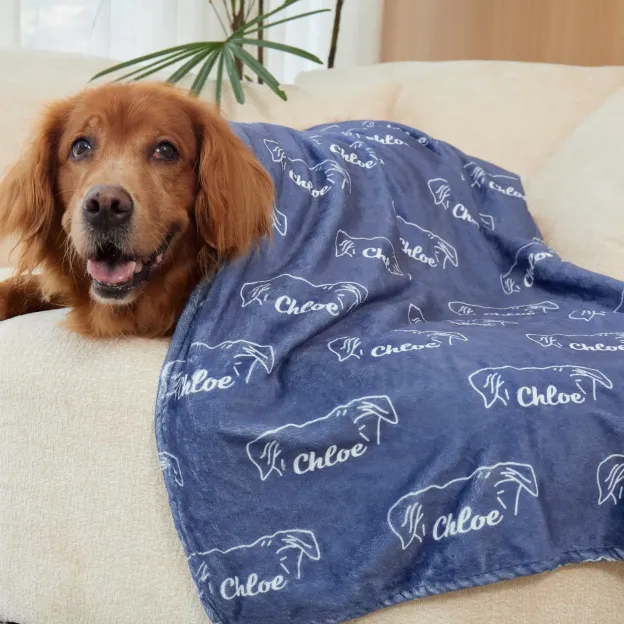 Personalized Lovely Pet Blanket for Comfort & Unique | BKPet102