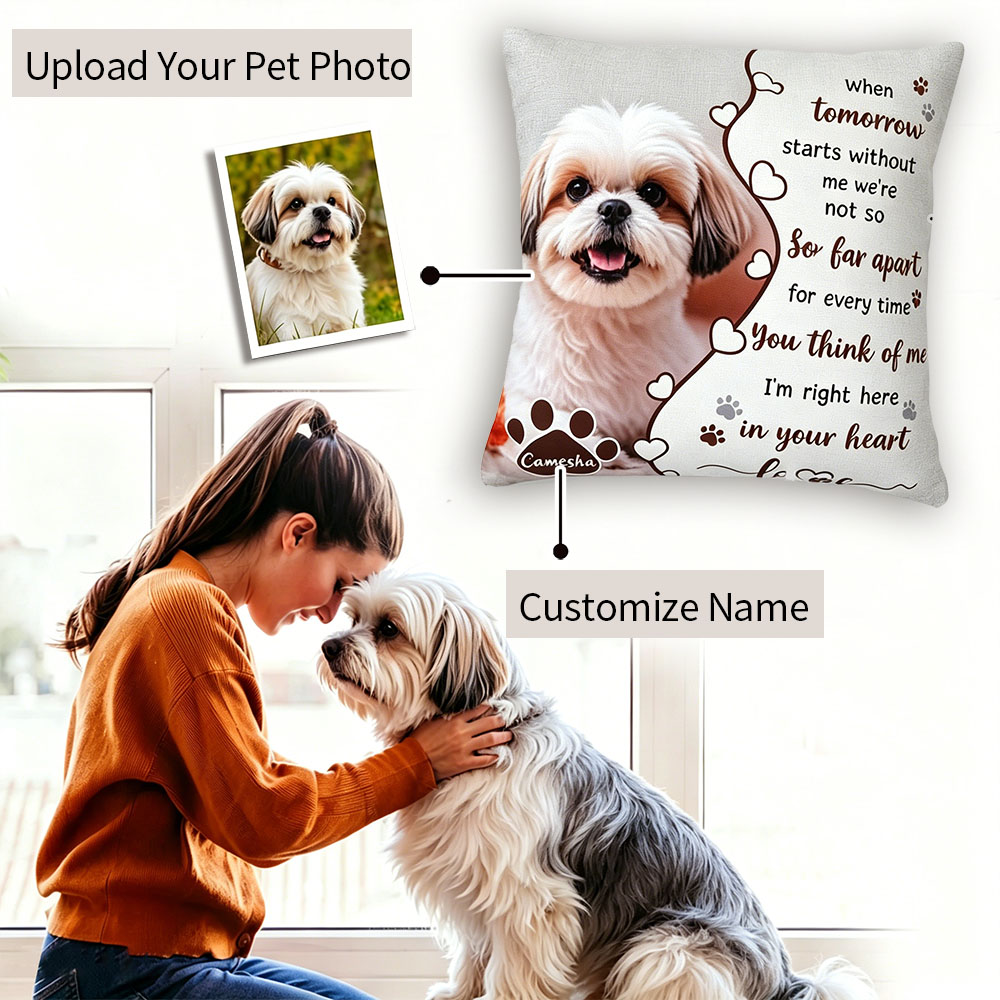 Personalised Pet Loss Gift Memorial Cushion | MNMemo22