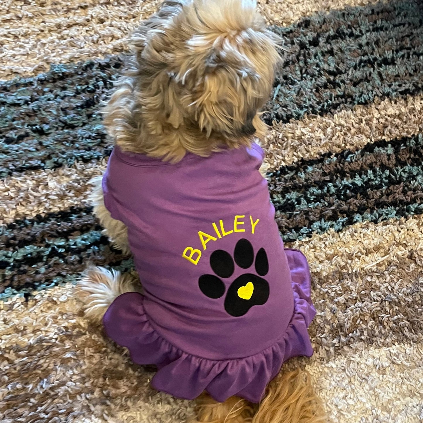 Personalized Soft Puppy Dress with Ruffle | CWPet26