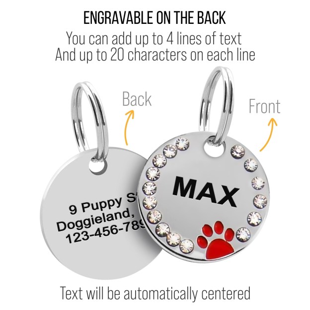 Personalized Sparkling Paw Double Sided Pet ID Tag | BKPet63