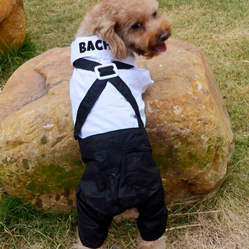 Personalized Pet Tuxedo Wedding Outfit | BKPet261