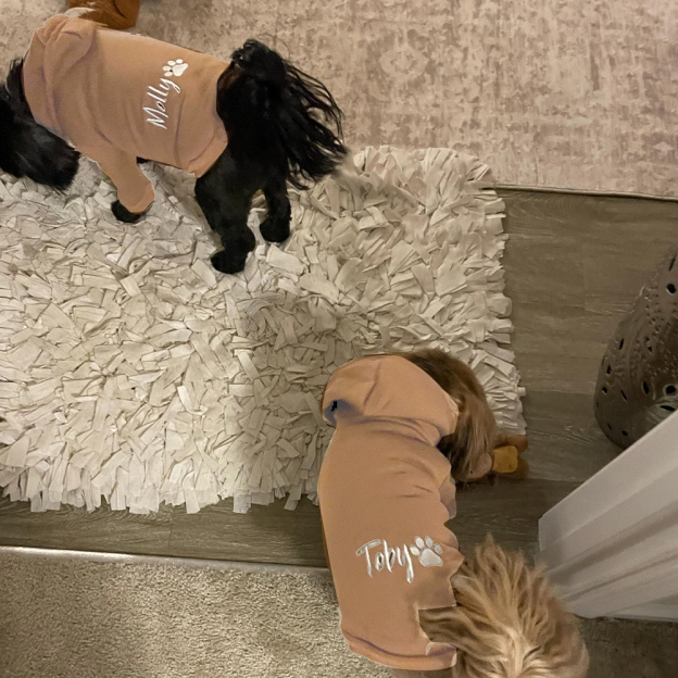 Personalized Embroidery Warm Soft Puppy Hoodie | BKPet362