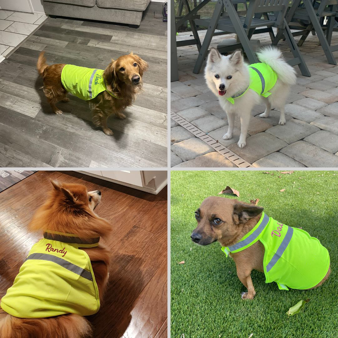 Personalized Pet Reflective Safety Bandana & Vest Set | BKPet163