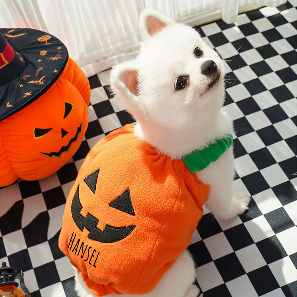 Personalized Halloween Funny Pumpkin Pet Costume | CWHalloween66