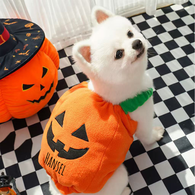 Personalized Halloween Funny Pumpkin Pet Costume | CWHalloween66