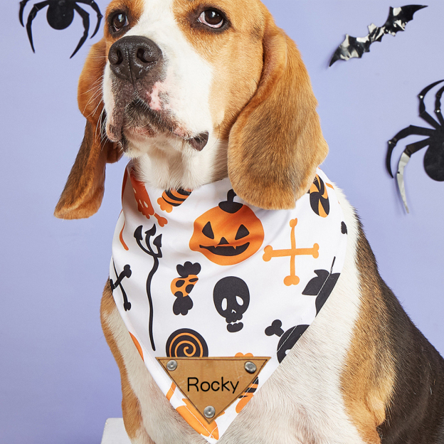 Personalized Halloween Dog Bandana for Comfort & Unique | CWHalloween57