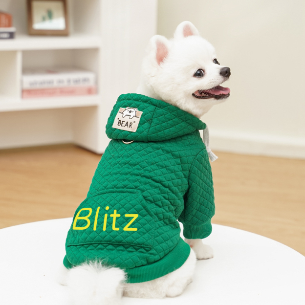 Personalized Warm Pullover Pet Hoodie Sweatshirt | BKPet209