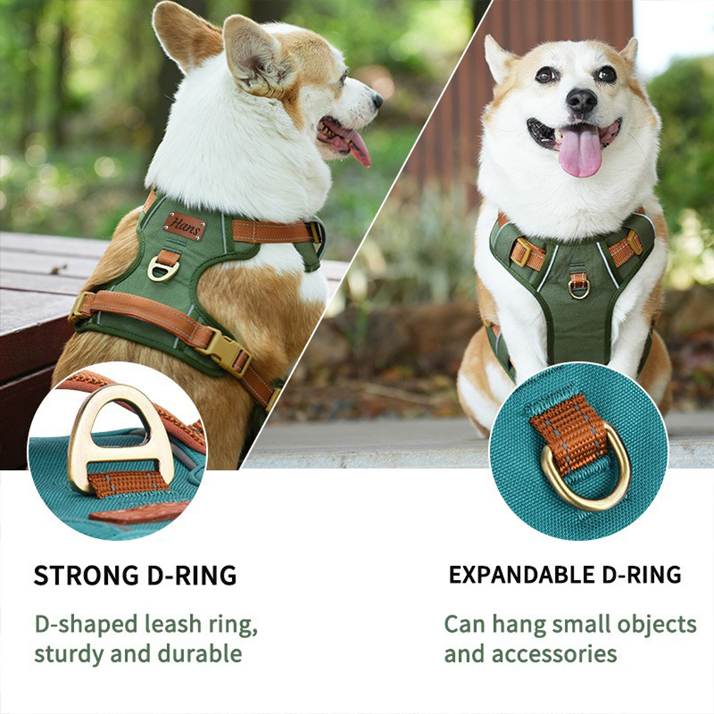 Personalized Night Reflective Luxury Puppy Harness | BKPet237