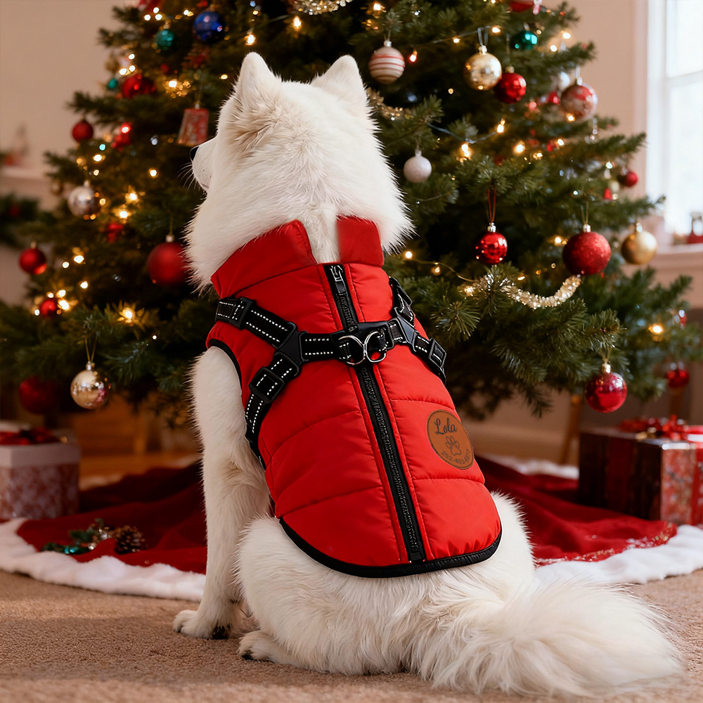 Personalized Round Leather Patch Pets Puffer Jacket | BKPet245