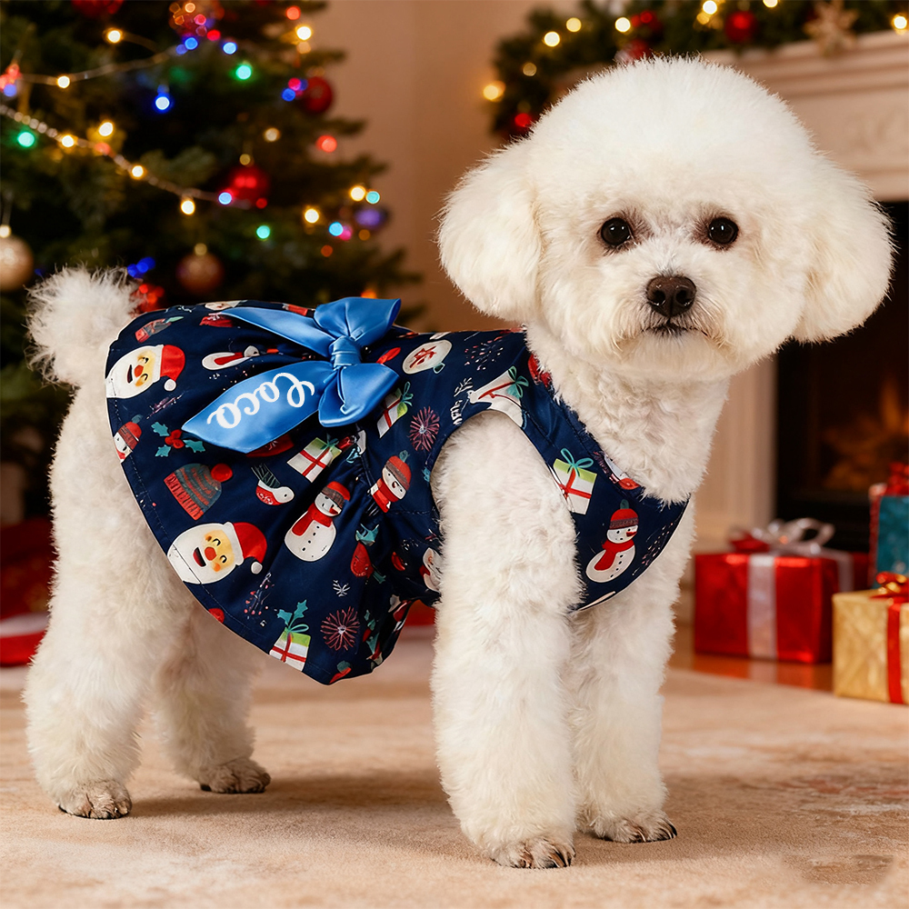 Personalized Pet Large Size Christmas Lovely Bow Dress | MCGift197