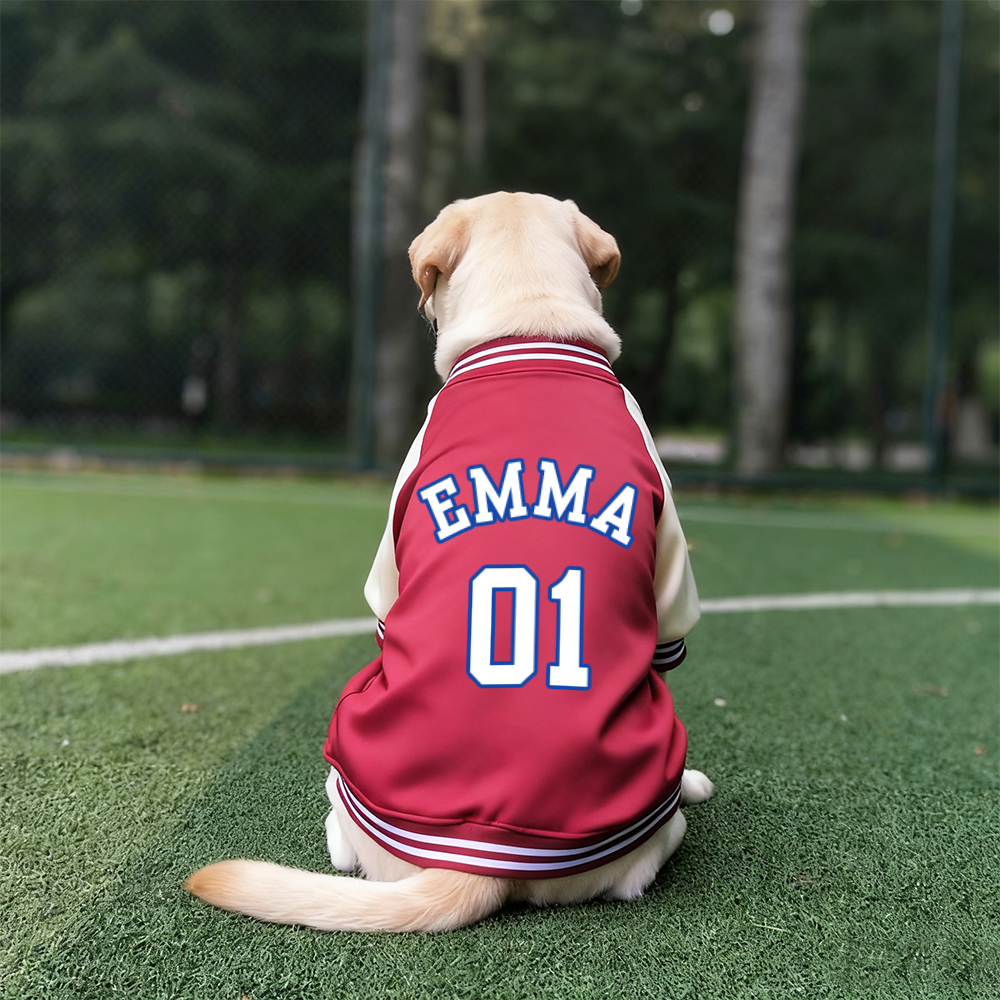 Personalized Pet Large Baseball Jacket | BKPet250