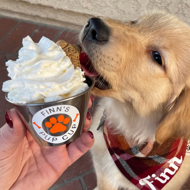 Personalized Pet Stainless Steel Reusable Mini Pup Cup Mug | BKPet273