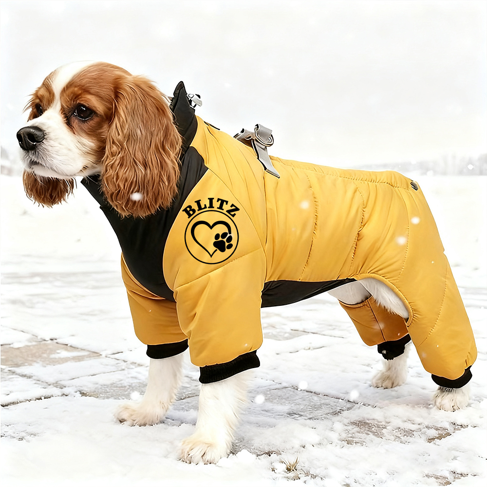 Personalized Pet Winter Warm Windproof Puffer Jacket | BKPet272