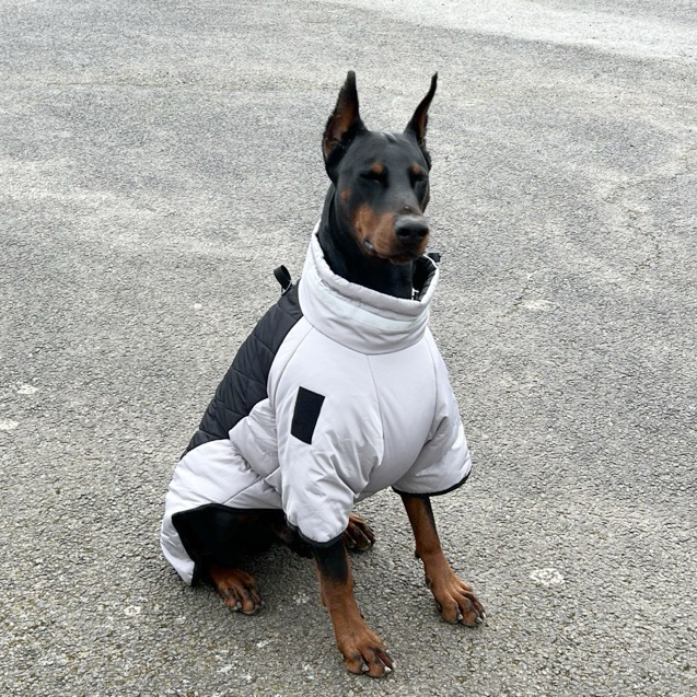 Personalized Pet Winter Warm Windproof Large Puffer Jacket | BKPet281