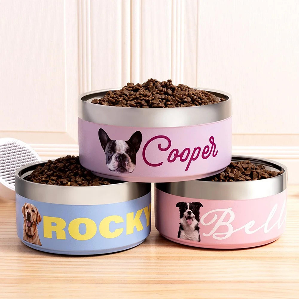 Personalized Stainless Steel Funny Pet Face with Name Food Bowl | BKPet306