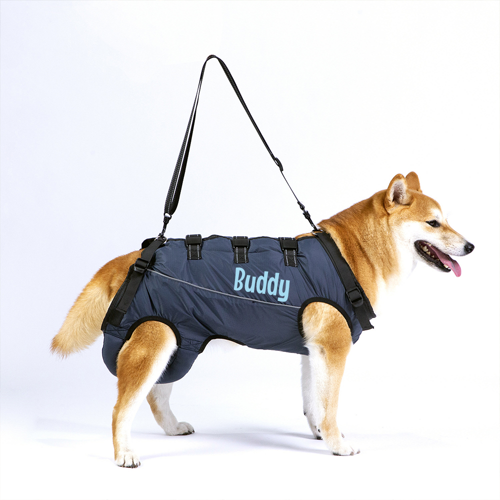 Personalized Adjustable Pet Lifting Harness Breathable Full Body Support | BKPet309